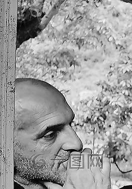 和平,思想家,黑与白