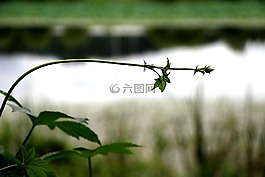 打破,大自然,风光