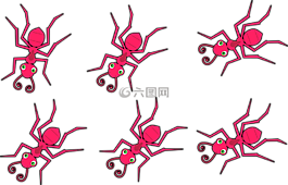 蚂蚁,昆虫,红蚂蚁