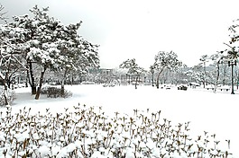 南城,哈纳姆市政厅,冬天风景