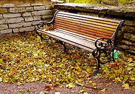 金秋时节,秋,公园