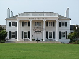 大学,德州,教育