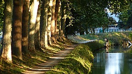 通道,树,线索