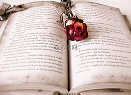 书,阅读,爱情故事