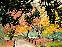岡山,日本,公园