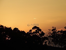 日落,华美,树木
