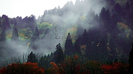 高山景观,多云,景观