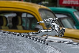伏尔加,复古车,复古