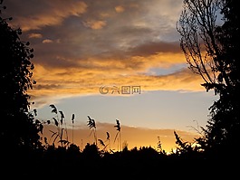 日落,暮光之城,晚上