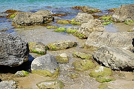 伊维萨,海,水