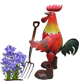 公鸡,挖,花