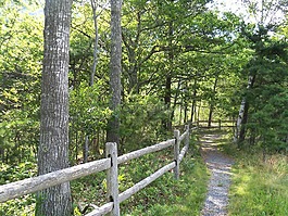 路径,径,步道