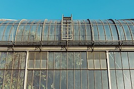 温室,植物,工业