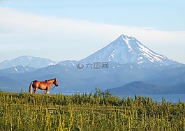 火山,马,湾