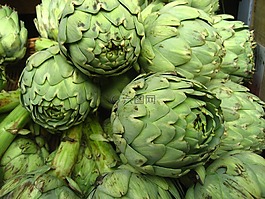 洋蓟,蔬菜,自然
