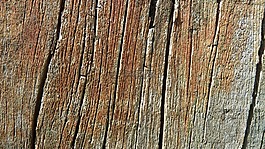 木材,自然,纹理