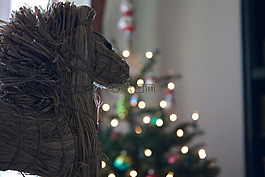 圣诞节,马,可爱