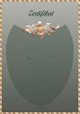 证书,识别,赞美