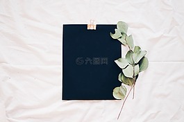 黑,床,工作表