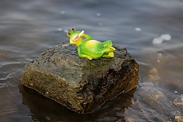 青蛙,水,懒