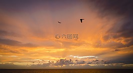 黎明,海,巴伦西亚