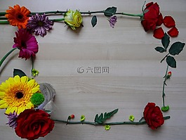 帧,边境,花