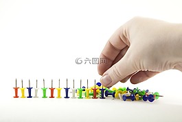 独立,背景,教育