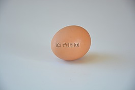 鸡蛋,有机