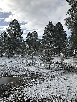 亚利桑那州,雪,弗拉格斯塔夫