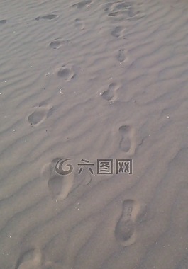 沙,海滩,行走