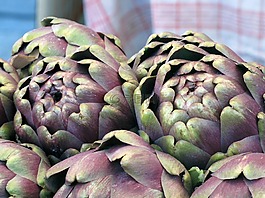 洋蓟,食品,素