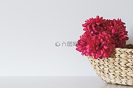 红色,花,花瓣