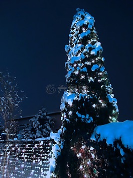 圣诞节,圣诞灯,雪