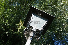 灯笼,路灯,历史路灯照明