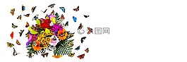 情感,鲜花,花束