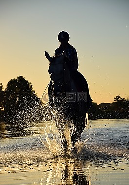 马,骑,水