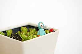 植物,生活,卡通