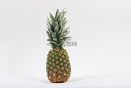 热带水果,菠萝,水果