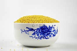 龙山小米,合合社,黄小米