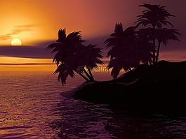 岛,棕榈,日落