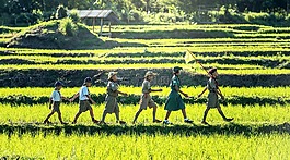 男孩,侦察兵,侦察