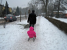 冬季,雪,雪橇