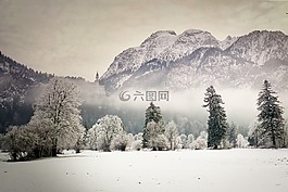 雪,冬天,山