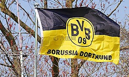 bvb,俱乐部旗,黑黄色