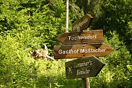 岔路口,目录,线索