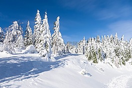 冬天,雪,12 月