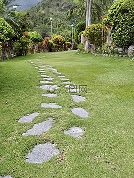 绿植,清新,小路