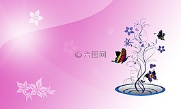 花束,蝴蝶,装饰的