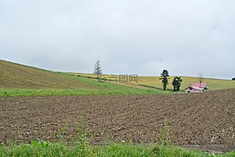 景观,自然,北海道