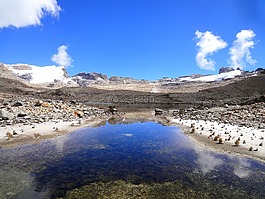 景观,el cocuy,南美洲